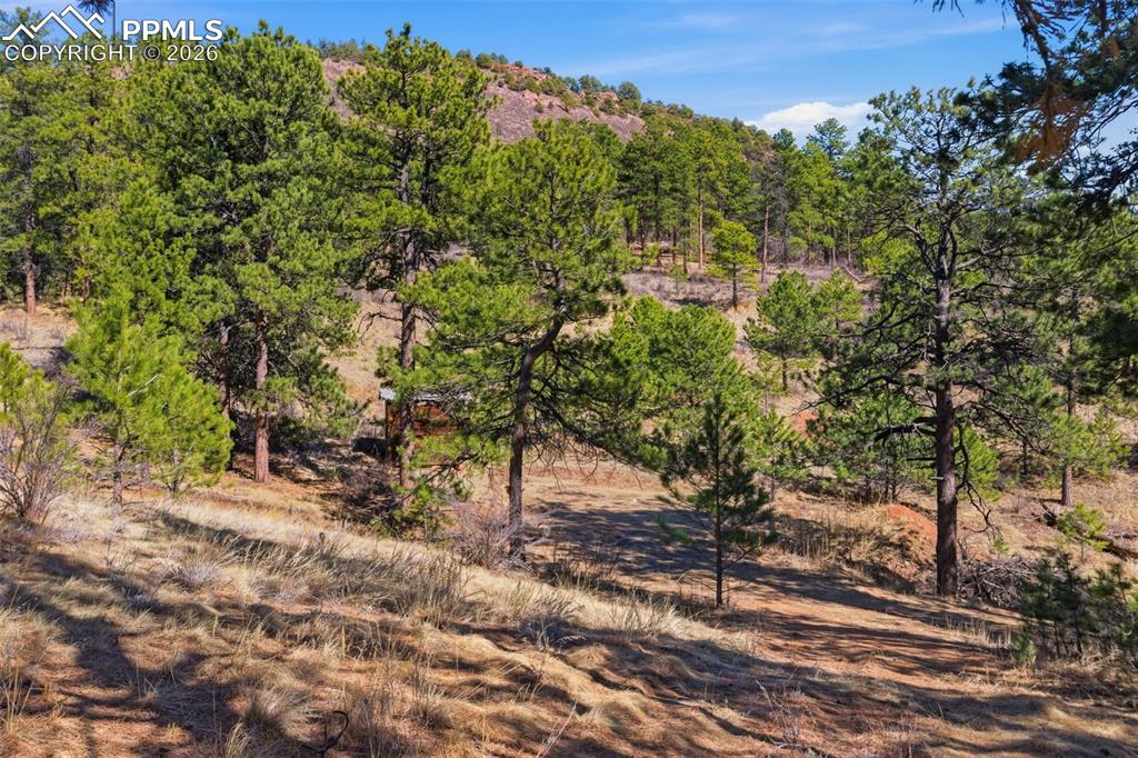 11070 W Highway 24 Cascade CO 80819