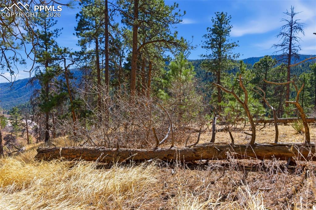 11070 W Highway 24 Cascade CO 80819