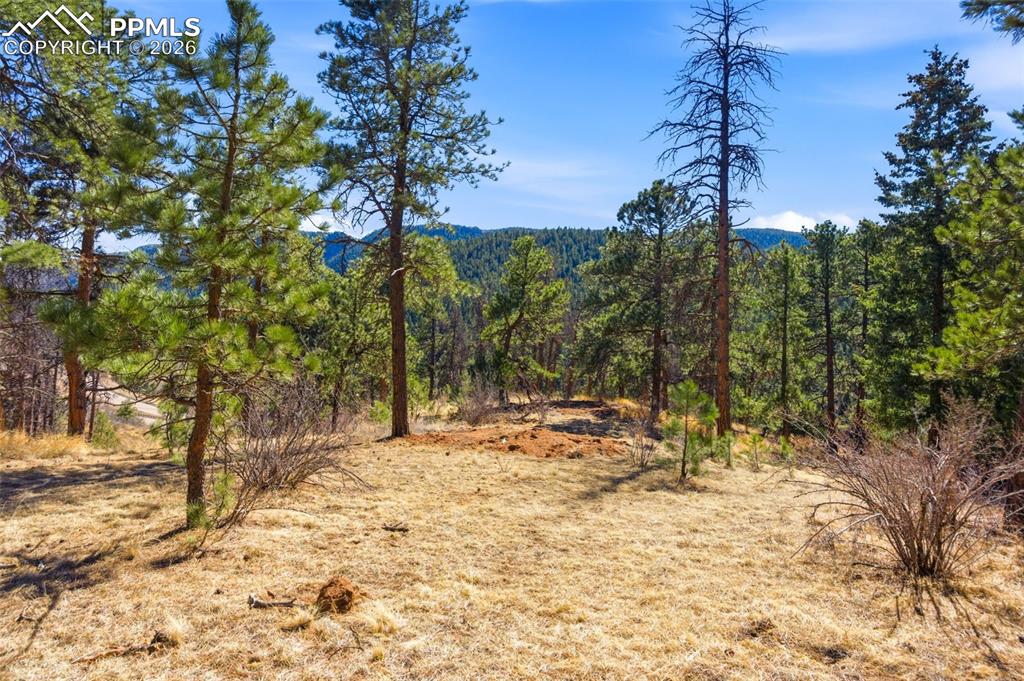 11070 W Highway 24 Cascade CO 80819