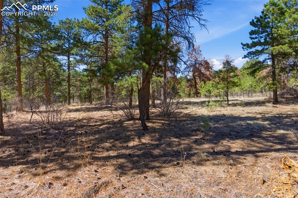 11070 W Highway 24 Cascade CO 80819