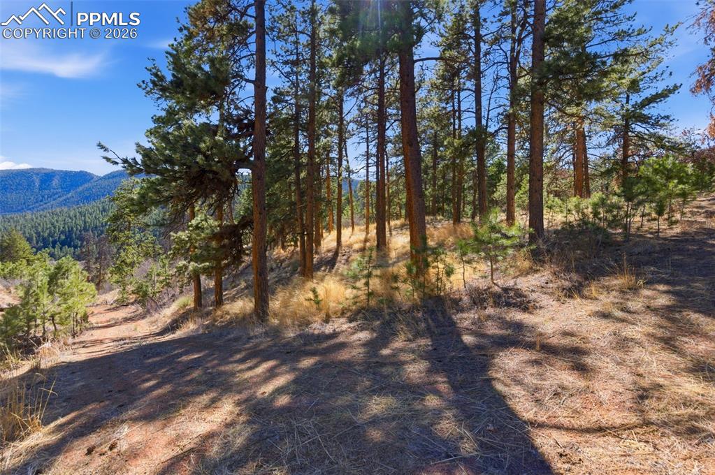 11070 W Highway 24 Cascade CO 80819