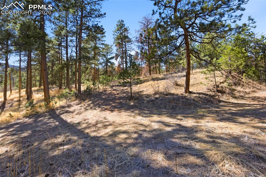 11070 W Highway 24 Cascade CO 80819