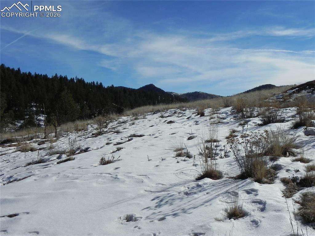 277 Gold King Drive Cripple Creek CO 80813