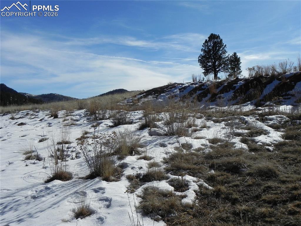 277 Gold King Drive Cripple Creek CO 80813