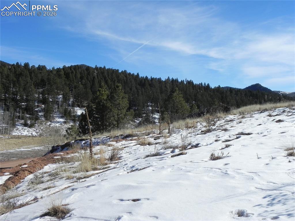 277 Gold King Drive Cripple Creek CO 80813