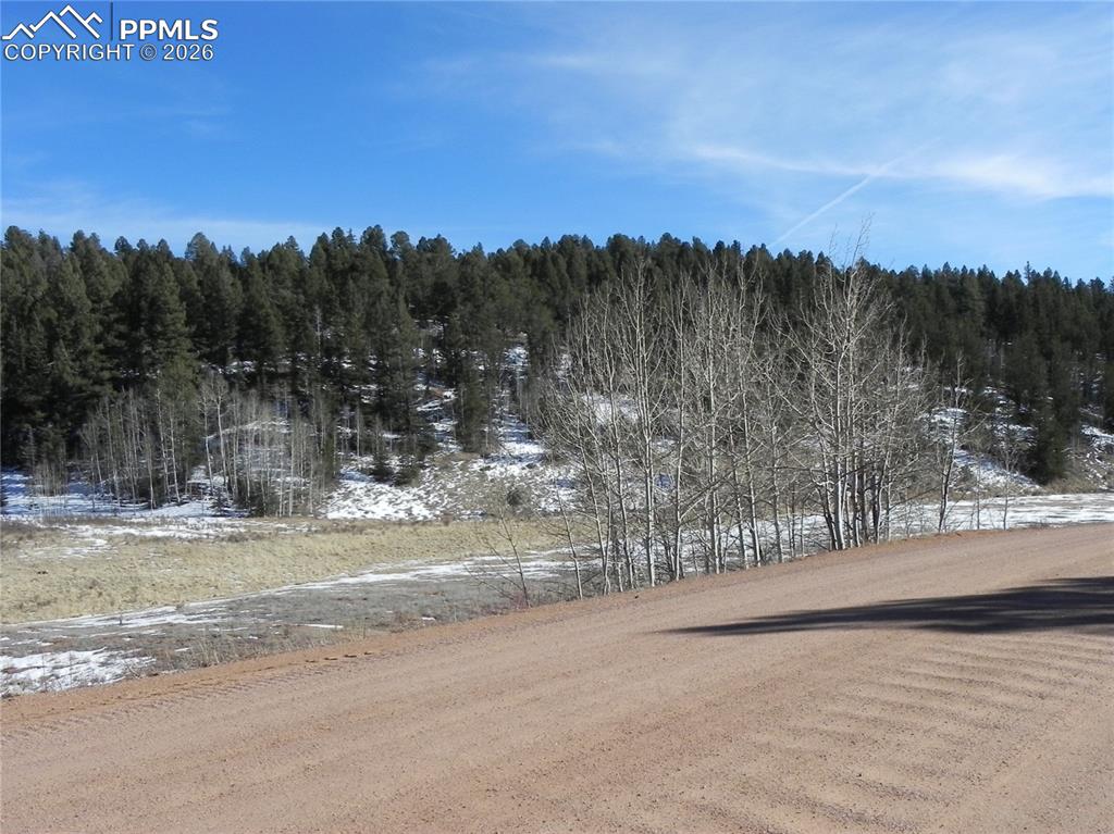 277 Gold King Drive Cripple Creek CO 80813