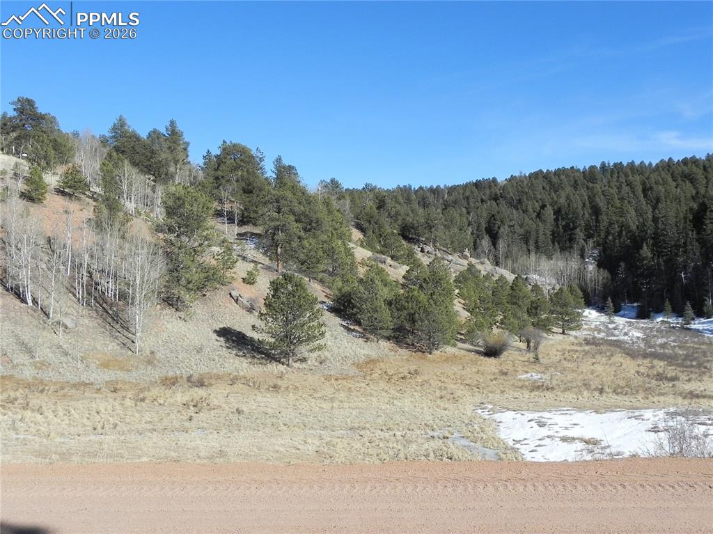 277 Gold King Drive Cripple Creek CO 80813