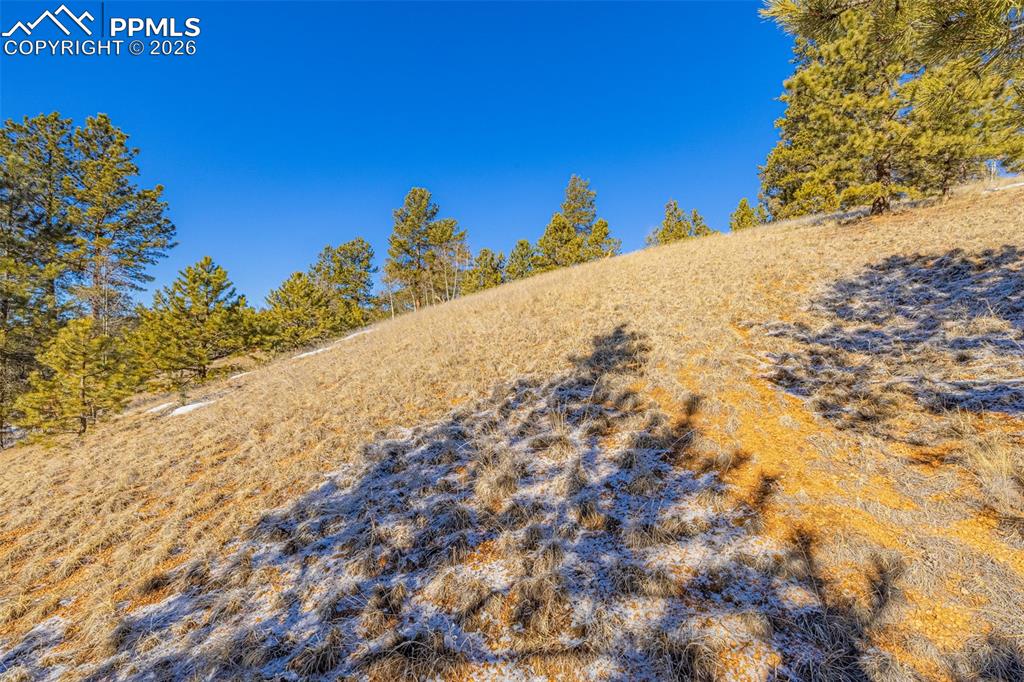 772 E Bison Creek Trail Florissant CO 80816