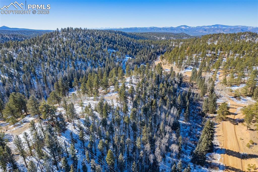 772 E Bison Creek Trail Florissant CO 80816