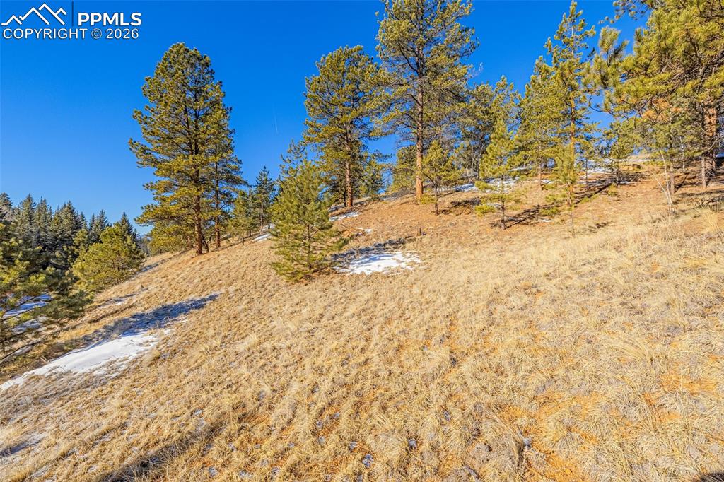 772 E Bison Creek Trail Florissant CO 80816