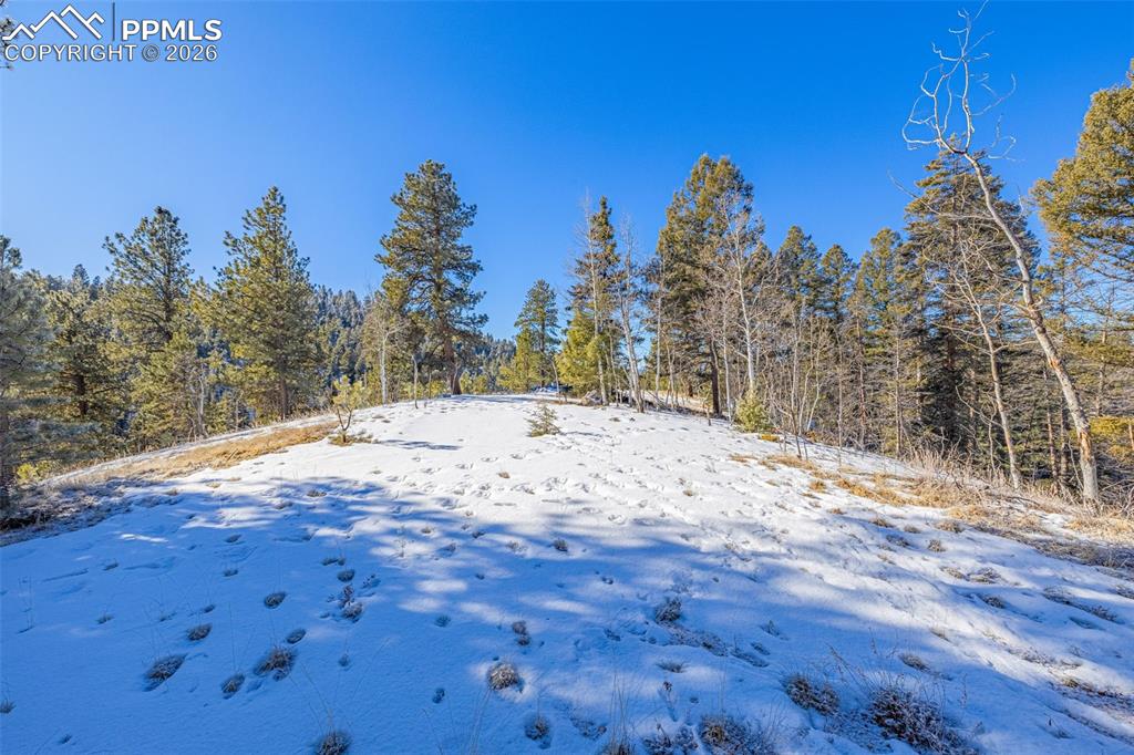 772 E Bison Creek Trail Florissant CO 80816
