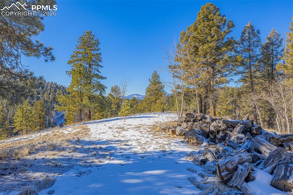 772 E Bison Creek Trail Florissant CO 80816