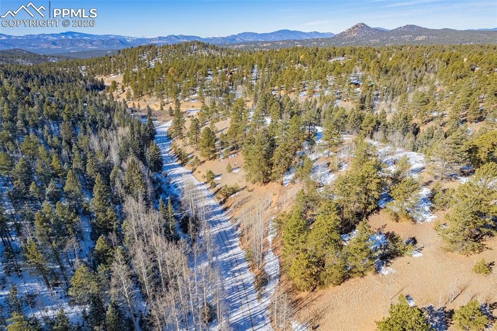 772 E Bison Creek Trail Florissant CO 80816