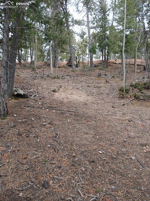 495 Wakanda Trail Woodland Park CO 80863