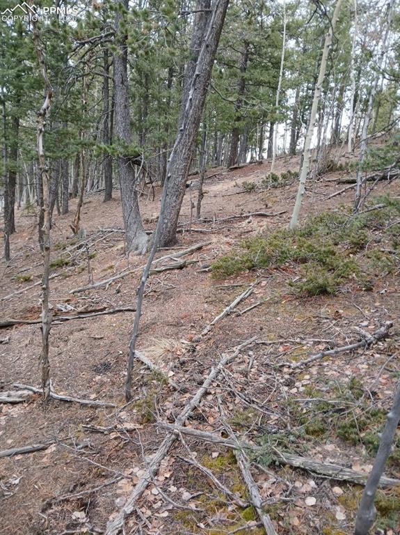 495 Wakanda Trail Woodland Park CO 80863