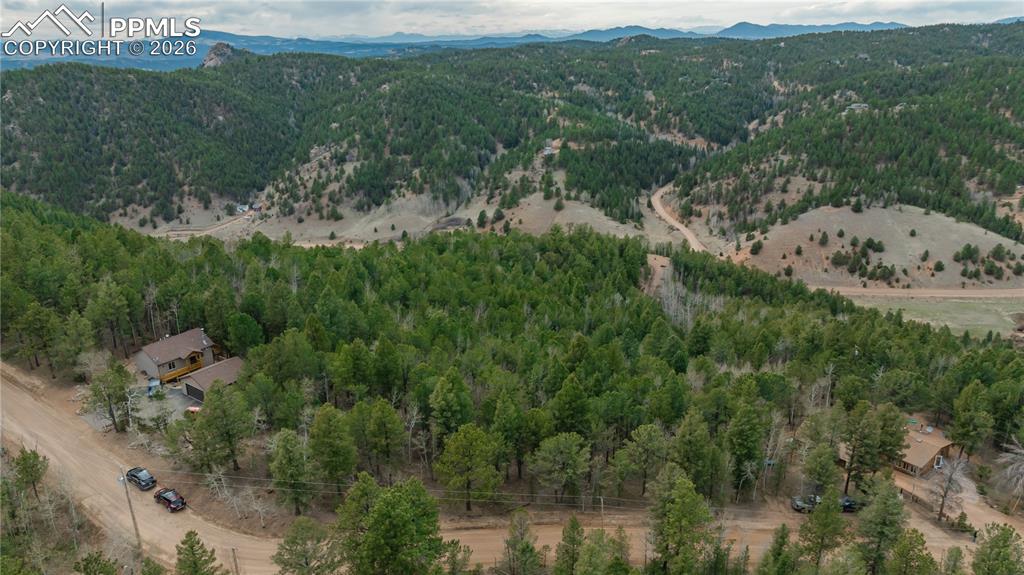 881 Timber Ridge Road Divide CO 80814