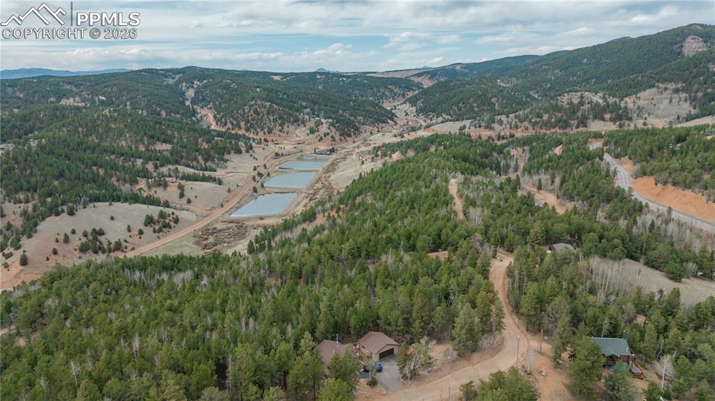 881 Timber Ridge Road Divide CO 80814