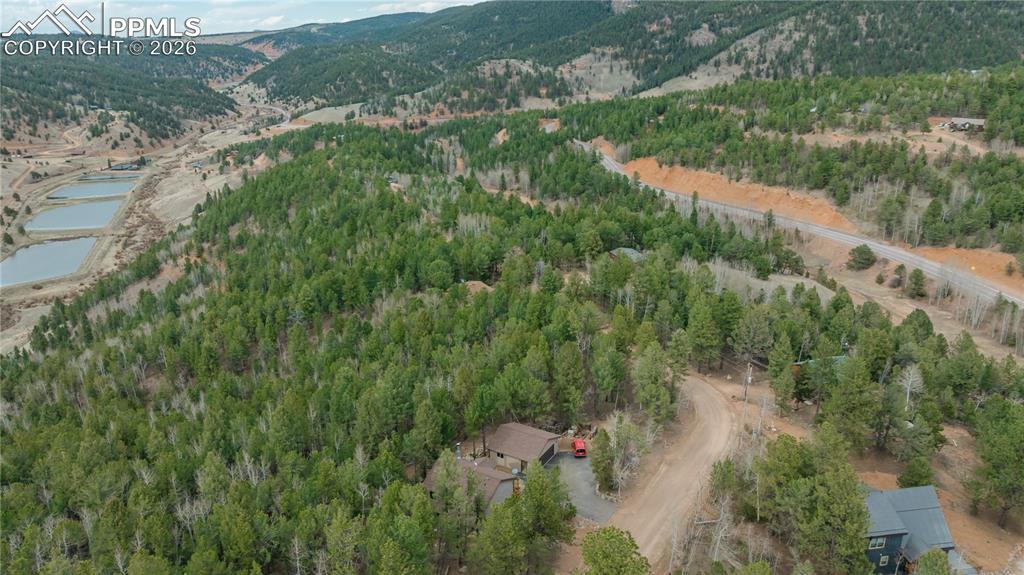 881 Timber Ridge Road Divide CO 80814