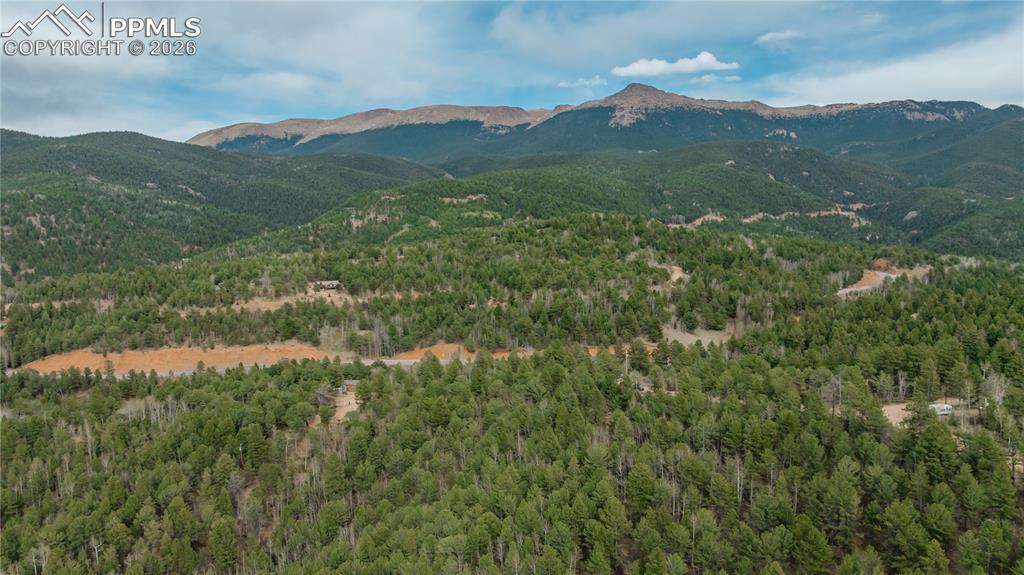 881 Timber Ridge Road Divide CO 80814