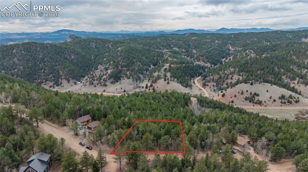881 Timber Ridge Road Divide CO 80814