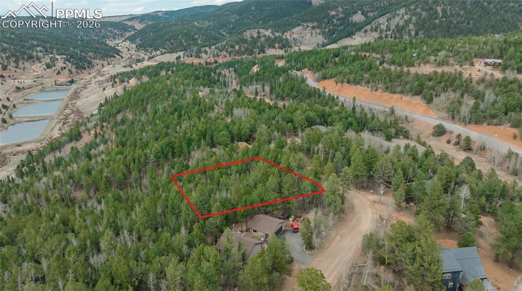 881 Timber Ridge Road Divide CO 80814