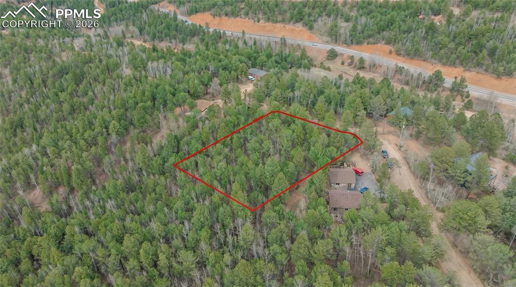881 Timber Ridge Road Divide CO 80814