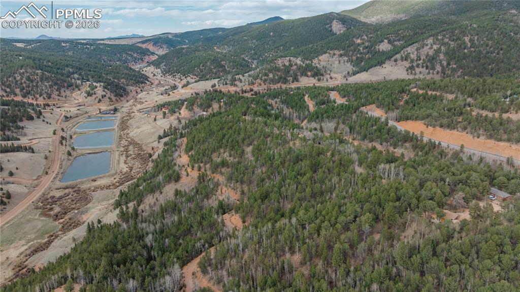 881 Timber Ridge Road Divide CO 80814