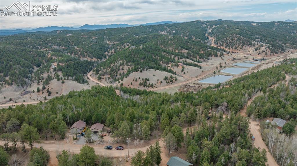 881 Timber Ridge Road Divide CO 80814
