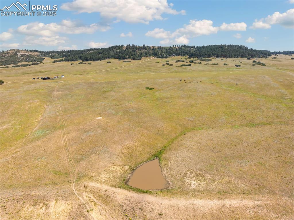 14254 S Highway 83 Larkspur CO 80118