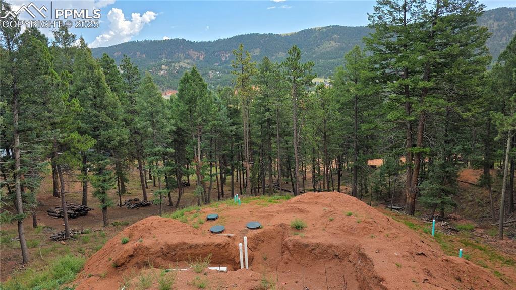 370 Summer Haven Drive Woodland Park CO 80863