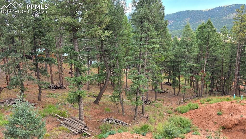 370 Summer Haven Drive Woodland Park CO 80863