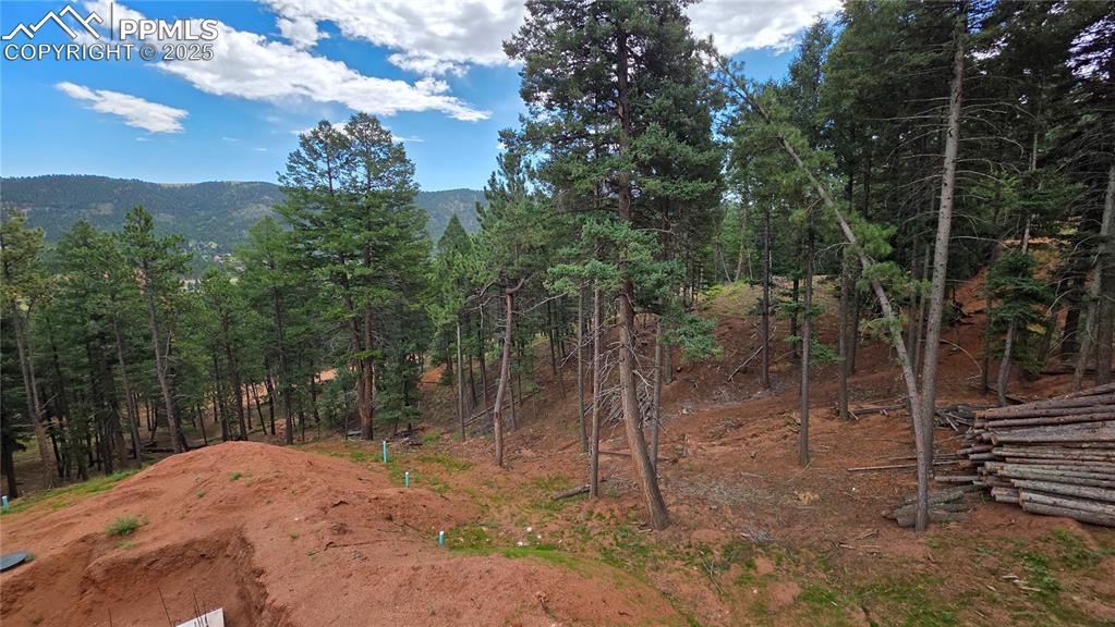 370 Summer Haven Drive Woodland Park CO 80863