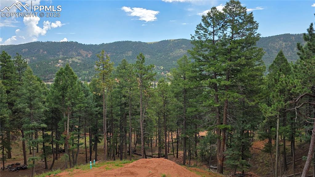 370 Summer Haven Drive Woodland Park CO 80863