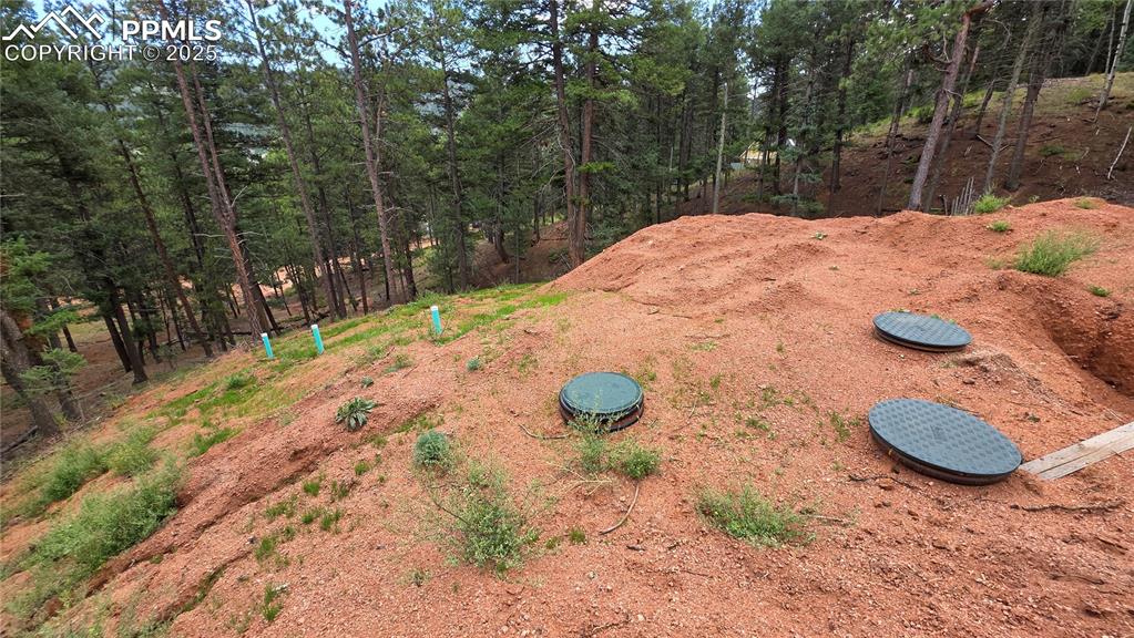 370 Summer Haven Drive Woodland Park CO 80863