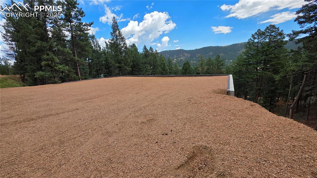 370 Summer Haven Drive Woodland Park CO 80863