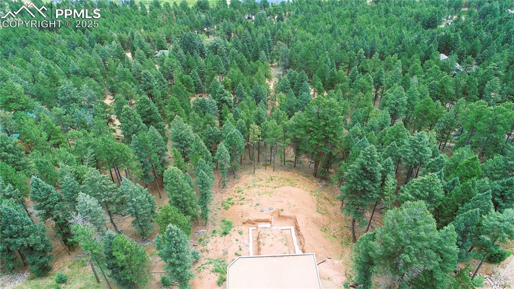 370 Summer Haven Drive Woodland Park CO 80863