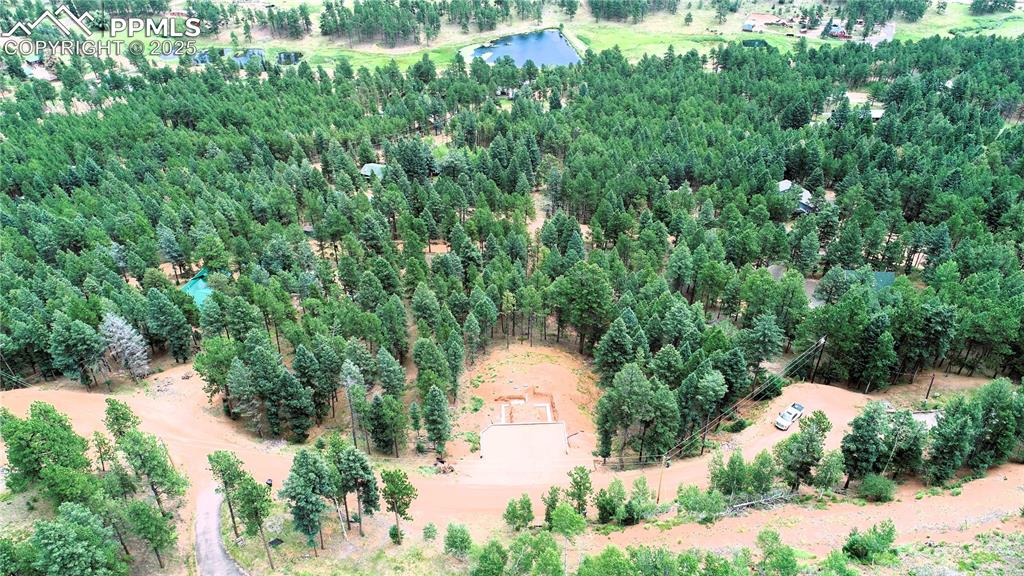 370 Summer Haven Drive Woodland Park CO 80863