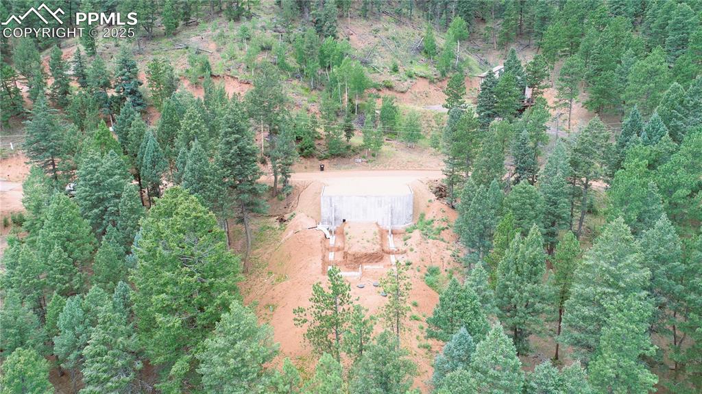 370 Summer Haven Drive Woodland Park CO 80863