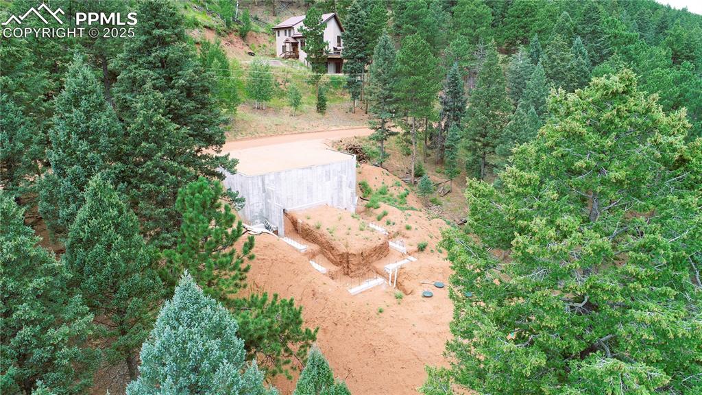 370 Summer Haven Drive Woodland Park CO 80863