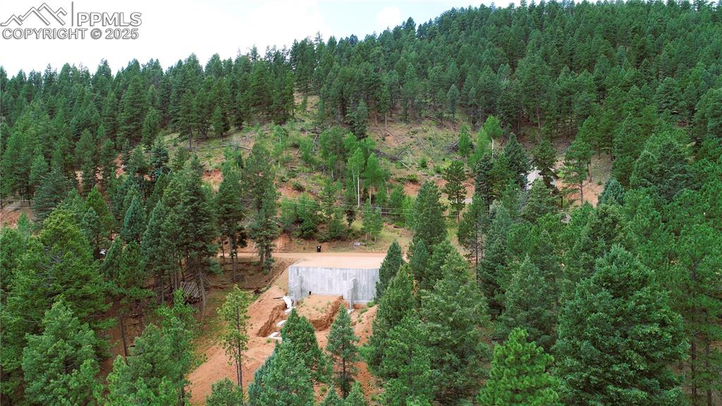370 Summer Haven Drive Woodland Park CO 80863