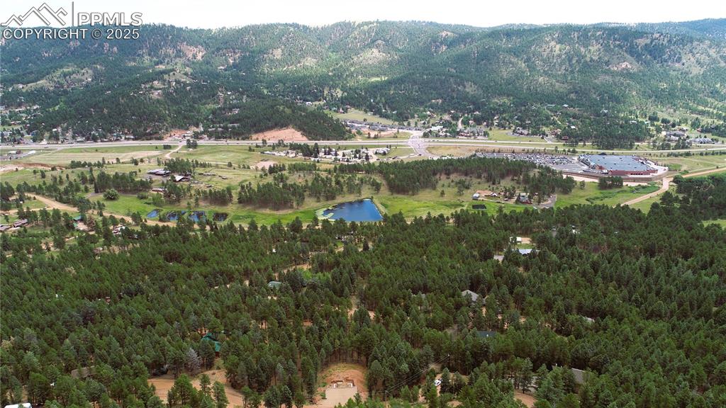 370 Summer Haven Drive Woodland Park CO 80863