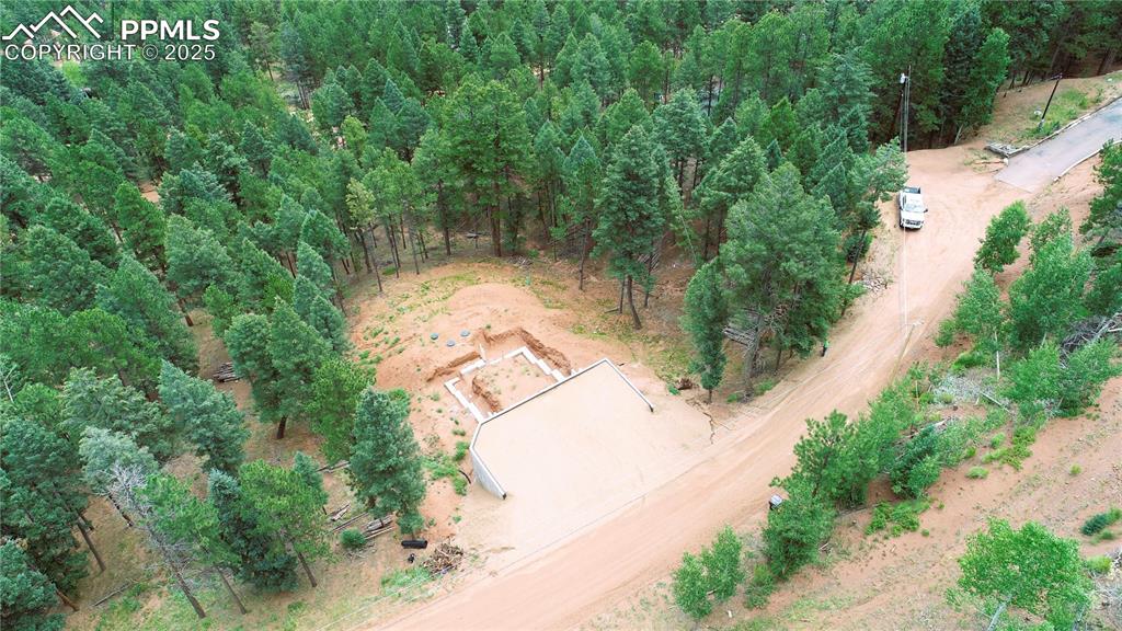 370 Summer Haven Drive Woodland Park CO 80863