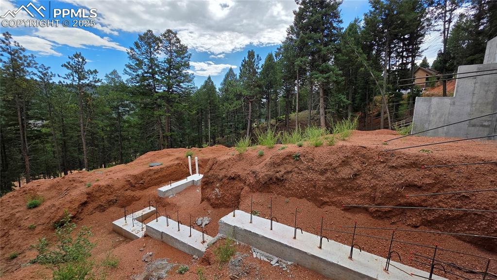 370 Summer Haven Drive Woodland Park CO 80863