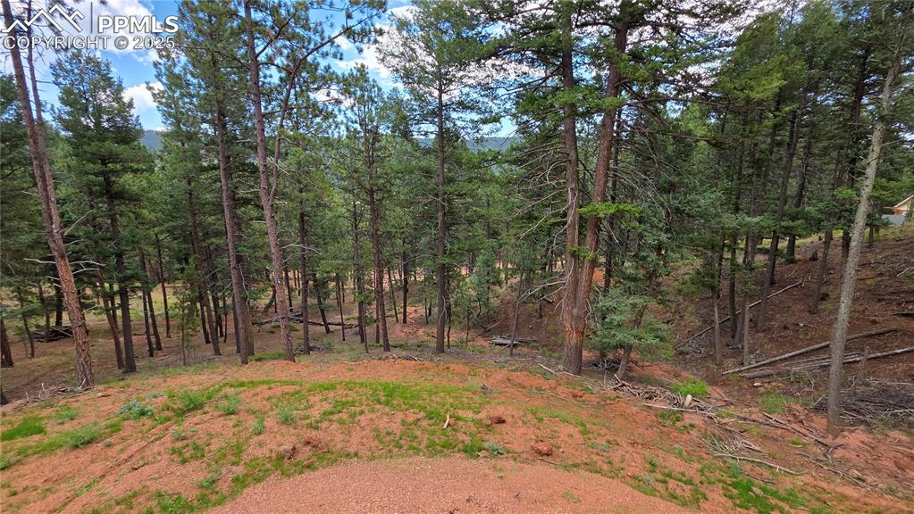 370 Summer Haven Drive Woodland Park CO 80863