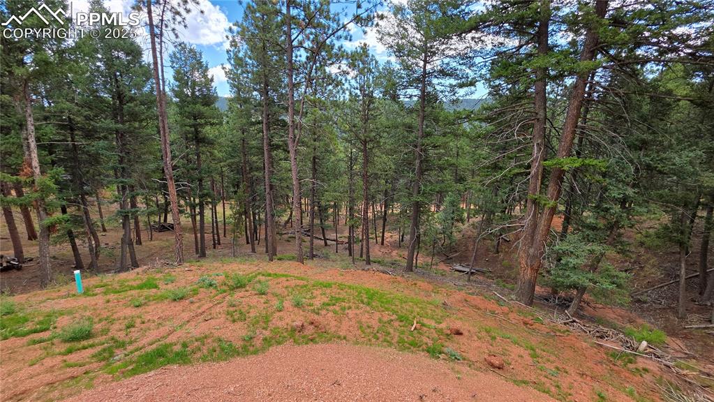370 Summer Haven Drive Woodland Park CO 80863
