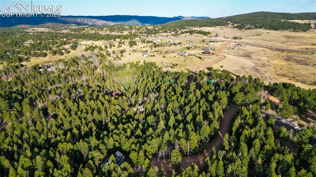 68 Yale Place Woodland Park CO 80863