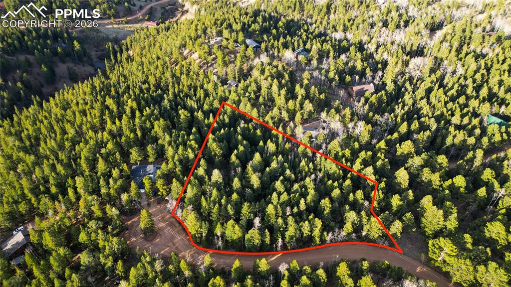 68 Yale Place Woodland Park CO 80863