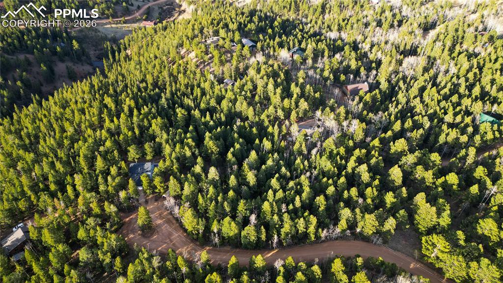 68 Yale Place Woodland Park CO 80863