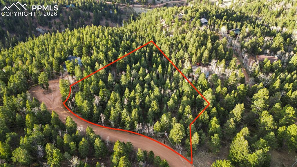 68 Yale Place Woodland Park CO 80863