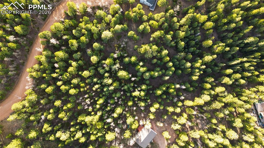 68 Yale Place Woodland Park CO 80863